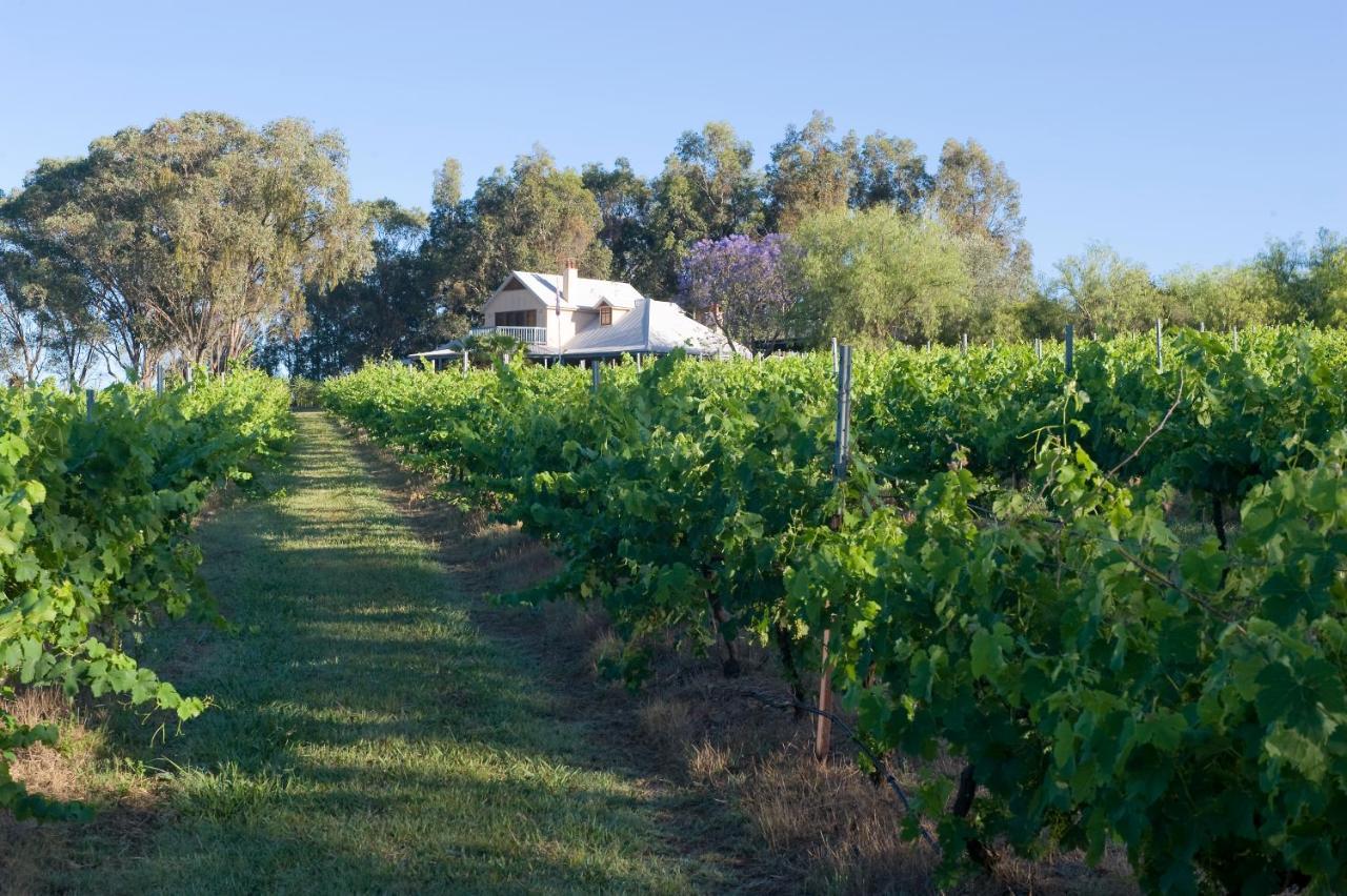 Spicers Vineyards Estate Ξενοδοχείο Pokolbin Εξωτερικό φωτογραφία